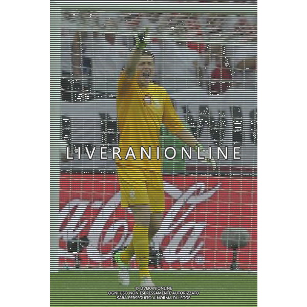 (120609) -- WARSAW, June 9, 2012 () -- Wojciech Szczesny of Poland celebrates after Robert Lewandowski\'s goal during the Group A match against Greece at the Euro 2012 football championship in Warsaw, Poland, June 8, 2012. (/Ma Ning) (jyc) ©photoshot/Agenzia Aldo Liverani Sas - ITALY ONLY: Polonia - Grecia Campionati Europei UEFA 2012 Polonia/Ucraina Gruppo A Varsavia (Polonia) 08/06/2012