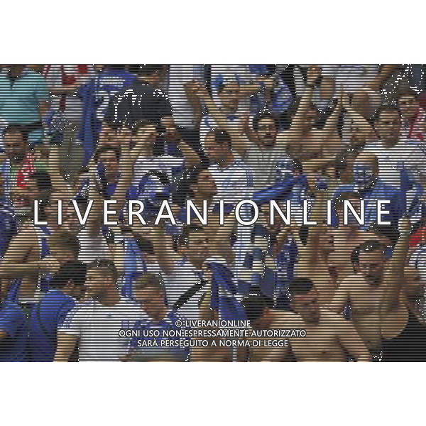 (120609) -- WARSAW, June 9, 2012 () -- Fans of Greece celebrate after the Group A match against Poland at the Euro 2012 football championship in Warsaw, Poland, June 8, 2012. The match ended in a 1-1 draw. (/Ma Ning) (jyc) ©photoshot/Agenzia Aldo Liverani Sas - ITALY ONLY: Polonia - Grecia Campionati Europei UEFA 2012 Polonia/Ucraina Gruppo A Varsavia (Polonia) 08/06/2012