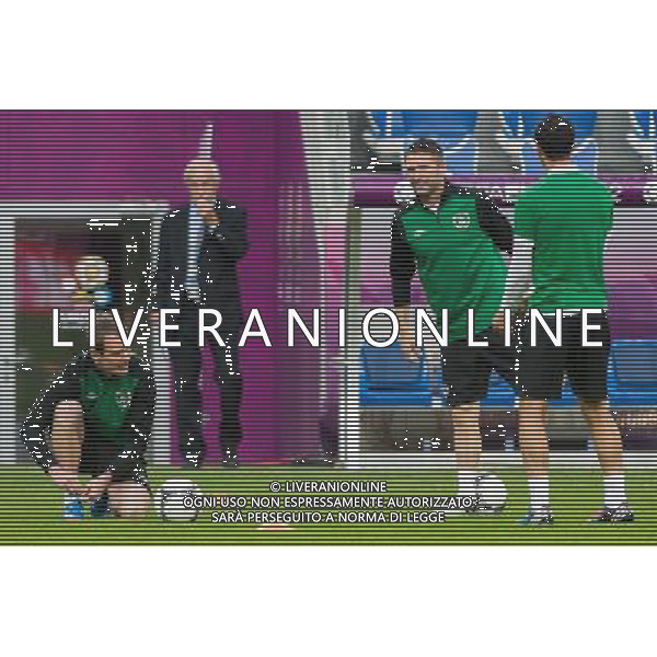 09.06.2012. POZNAN, STADION MIEJSKI. (UEFA EURO 2012 POLAND UKRAINE) MISTRZOSTWA EUROPY W PILCE NOZNEJ. TRENING OTWARTY REPREZENTACJI IRLANDII GRUPA C (TRAINING OF THE REPUBLIC OF IRELAND NATIONAL TEAM POOL C). NZ/ GLENN WHELAN, ROBBIE KEANE FOT. JAKUB KACZMARCZYK / PRESSFOCUS NEWSPIXPL --- Newspix.pl AG ALDO LIVERANI S A S ONLY ITALY *** Local Caption *** www.newspix.pl mail us: info@newspix.pl call us: 0048 022 23 22 222 --- Polish Picture Agency by Ringier Axel Springer Poland