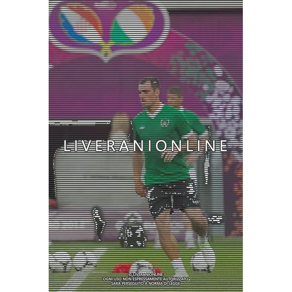09.06.2012. POZNAN, STADION MIEJSKI. (UEFA EURO 2012 POLAND UKRAINE) MISTRZOSTWA EUROPY W PILCE NOZNEJ. TRENING OTWARTY REPREZENTACJI IRLANDII GRUPA C (TRAINING OF THE REPUBLIC OF IRELAND NATIONAL TEAM POOL C). NZ/ DARRON GIBSON FOT. JAKUB KACZMARCZYK / PRESSFOCUS NEWSPIXPL --- Newspix.pl AG ALDO LIVERANI S A S ONLY ITALY *** Local Caption *** www.newspix.pl mail us: info@newspix.pl call us: 0048 022 23 22 222 --- Polish Picture Agency by Ringier Axel Springer Poland