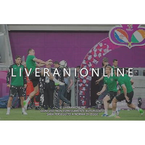 09.06.2012. POZNAN, STADION MIEJSKI. (UEFA EURO 2012 POLAND UKRAINE) MISTRZOSTWA EUROPY W PILCE NOZNEJ. TRENING OTWARTY REPREZENTACJI IRLANDII GRUPA C (TRAINING OF THE REPUBLIC OF IRELAND NATIONAL TEAM POOL C). NZ/ DARRON GIBSON, PAUL GREEN FOT. JAKUB KACZMARCZYK / PRESSFOCUS NEWSPIXPL --- Newspix.pl AG ALDO LIVERANI S A S ONLY ITALY *** Local Caption *** www.newspix.pl mail us: info@newspix.pl call us: 0048 022 23 22 222 --- Polish Picture Agency by Ringier Axel Springer Poland