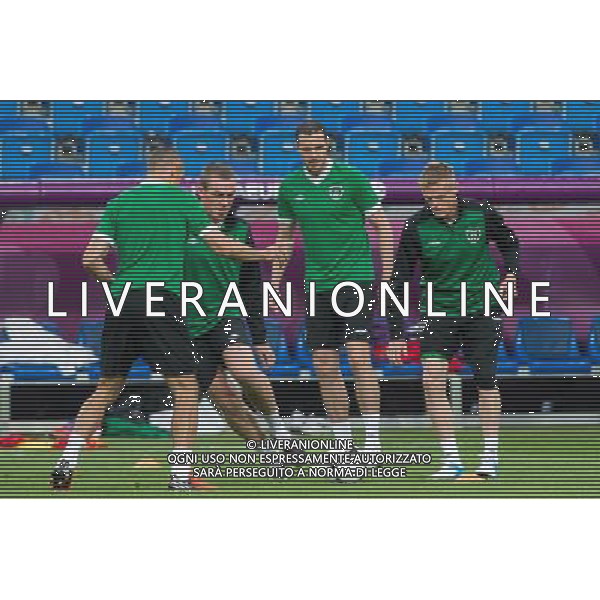 09.06.2012. POZNAN, STADION MIEJSKI. (UEFA EURO 2012 POLAND UKRAINE) MISTRZOSTWA EUROPY W PILCE NOZNEJ. TRENING OTWARTY REPREZENTACJI IRLANDII GRUPA C (TRAINING OF THE REPUBLIC OF IRELAND NATIONAL TEAM POOL C). NZ/ RICHARD DUNNE, JOHN O\'SHEA, DAMIEN DUFF, FOT. JAKUB KACZMARCZYK / PRESSFOCUS NEWSPIXPL --- Newspix.pl AG ALDO LIVERANI S A S ONLY ITALY *** Local Caption *** www.newspix.pl mail us: info@newspix.pl call us: 0048 022 23 22 222 --- Polish Picture Agency by Ringier Axel Springer Poland