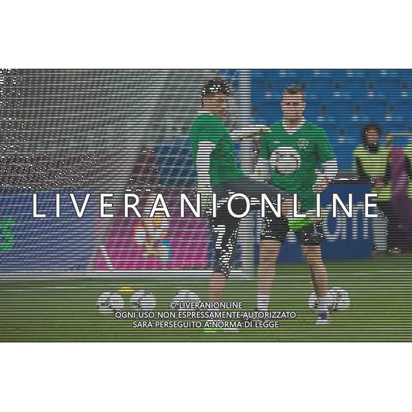 09.06.2012. POZNAN, STADION MIEJSKI. (UEFA EURO 2012 POLAND UKRAINE) MISTRZOSTWA EUROPY W PILCE NOZNEJ. TRENING OTWARTY REPREZENTACJI IRLANDII GRUPA C (TRAINING OF THE REPUBLIC OF IRELAND NATIONAL TEAM POOL C). NZ/ KEIREN WESTWOOD, SHAY GIVEN FOT. JAKUB KACZMARCZYK / PRESSFOCUS NEWSPIXPL --- Newspix.pl AG ALDO LIVERANI S A S ONLY ITALY *** Local Caption *** www.newspix.pl mail us: info@newspix.pl call us: 0048 022 23 22 222 --- Polish Picture Agency by Ringier Axel Springer Poland