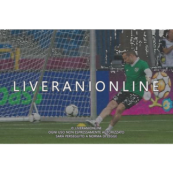 09.06.2012. POZNAN, STADION MIEJSKI. (UEFA EURO 2012 POLAND UKRAINE) MISTRZOSTWA EUROPY W PILCE NOZNEJ. TRENING OTWARTY REPREZENTACJI IRLANDII GRUPA C (TRAINING OF THE REPUBLIC OF IRELAND NATIONAL TEAM POOL C). NZ/ SHAY GIVEN FOT. JAKUB KACZMARCZYK / PRESSFOCUS NEWSPIXPL --- Newspix.pl AG ALDO LIVERANI S A S ONLY ITALY *** Local Caption *** www.newspix.pl mail us: info@newspix.pl call us: 0048 022 23 22 222 --- Polish Picture Agency by Ringier Axel Springer Poland
