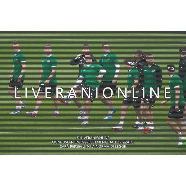 09.06.2012. POZNAN, STADION MIEJSKI. (UEFA EURO 2012 POLAND UKRAINE) MISTRZOSTWA EUROPY W PILCE NOZNEJ. TRENING OTWARTY REPREZENTACJI IRLANDII GRUPA C (TRAINING OF THE REPUBLIC OF IRELAND NATIONAL TEAM POOL C). NZ/ PAUL GREEN, SIMON COX, SHANE LONG, STEPHEN WARD, JON WALTERS FOT. JAKUB KACZMARCZYK / PRESSFOCUS NEWSPIXPL --- Newspix.pl AG ALDO LIVERANI S A S ONLY ITALY *** Local Caption *** www.newspix.pl mail us: info@newspix.pl call us: 0048 022 23 22 222 --- Polish Picture Agency by Ringier Axel Springer Poland