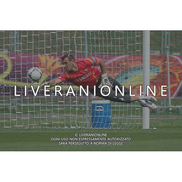 10.06.2012. OPALENICA, CENTRUM POBYTOWE. (UEFA EURO 2012 POLAND UKRAINE) MISTRZOSTWA EUROPY W PILCE NOZNEJ. TRENING OTWARTY REPREZENTACJI PORTUGALII (TRAINING OF PORTUGAL NATIONAL TEAM). NZ/ EDUARDO FOT. JAKUB KACZMARCZYK / PRESSFOCUS NEWSPIXPL --- Newspix.pl AG ALDO LIVERANI S A S ONLY ITALY *** Local Caption *** www.newspix.pl mail us: info@newspix.pl call us: 0048 022 23 22 222 --- Polish Picture Agency by Ringier Axel Springer Poland