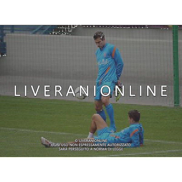 KRAKOW 10-06-2012 TRENING HOLANDIA NA STADIONIE WISLA KRAKOW NETHERLANDS NATIONAL FOOTBALL TEAM TREINING N/Z ROBIN VAN PERSIE IBRAHIM AFELAY FOT MACIEJ GILLERT / NEWSPIX.PL --- Newspix.pl AG ALDO LIVERANI S A S ONLY ITALY *** Local Caption *** www.newspix.pl mail us: info@newspix.pl call us: 0048 022 23 22 222 --- Polish Picture Agency by Ringier Axel Springer Poland