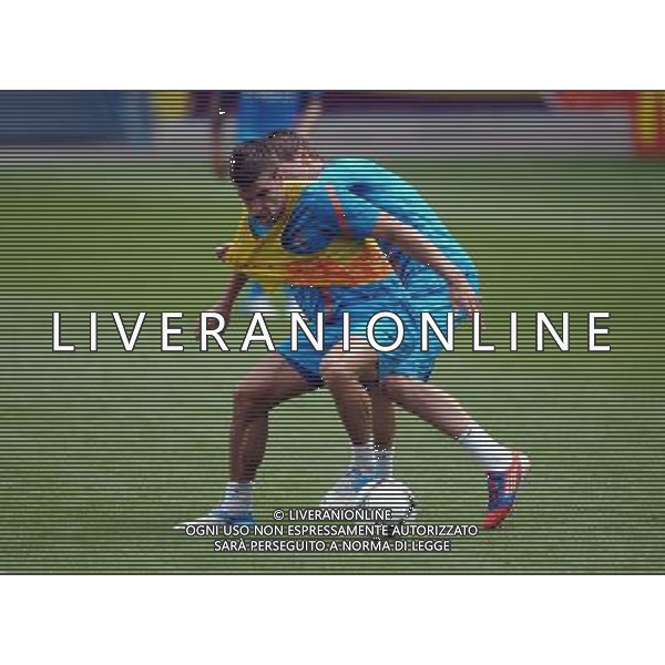 KRAKOW 10-06-2012 TRENING HOLANDIA NA STADIONIE WISLA KRAKOW NETHERLANDS NATIONAL FOOTBALL TEAM TREINING N/Z FOT MACIEJ GILLERT / NEWSPIX.PL --- Newspix.pl AG ALDO LIVERANI S A S ONLY ITALY *** Local Caption *** www.newspix.pl mail us: info@newspix.pl call us: 0048 022 23 22 222 --- Polish Picture Agency by Ringier Axel Springer Poland