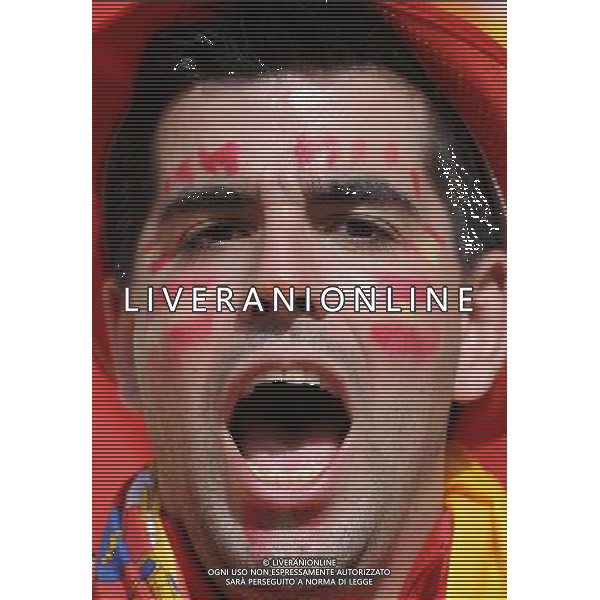 Campionati Europei UEFA 2012 Polonia/Ucraina Gruppo C Danzica (Polonia) - 10.06.2012 Spagna-Italia Nella Foto:tifosi spagna /Ph.Vitez-Ag. Aldo Liverani