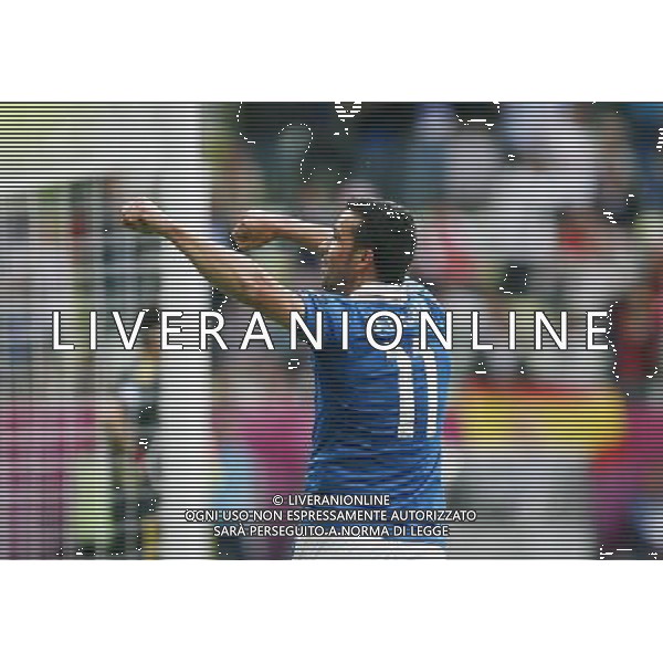 10.06.2012 - Gdansk , Poland . UEFA EURO 2012 . Mecz Hiszpania - Wlochy / match Spain - Italy . n/z. gol bramka goal 1:0 Antonio Di Natale radosc . Fot. Tomasz Wantula / EDYTOR.net/NEWSPIX.PL --- Newspix.pl /Agenzia Aldo Liverani Sas - ITALY ONLY - Spagna-Italia Campionati Europei UEFA 2012 Polonia/Ucraina Gruppo C Danzica (Polonia) 10/06/2012 *** Local Caption *** www.newspix.pl mail us: info@newspix.pl call us: 0048 022 23 22 222 --- Polish Picture Agency by Ringier Axel Springer Poland