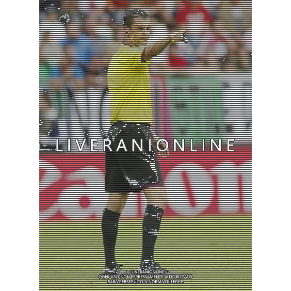 GDANSK 10/06/2012 ARENA GDANSK EURO 2012 PILKA NOZNA MECZ HISZPANIA WLOCHY FOOTBALL EURO 2012 MATCH SPAIN ITALY N/Z (L) VIKTOR KASSAI FOTO KAMIL KRASZEWSKI APPA/NEWSPIX.PL --- Newspix.pl -AG ALDO LIVERANI SAS - ITALY ONLY - *** Local Caption *** .