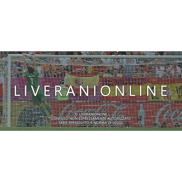 Campionati Europei UEFA 2012 Polonia/Ucraina Gruppo C Danzica (Polonia) - 10.06.2012 Spagna-Italia Nella Foto:Buffon Gianluigi /Ph.Vitez-Ag. Aldo Liverani