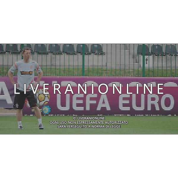10.06.2012 WARSZAWA (WARSAW POLAND) STADION POLONII WARSZAWA PILKA NOZNA (FOOTBALL) UEFA EURO 2012 POLAND UKRAINE MISTRZOSTWA EUROPY W PILCE NOZNEJ POLSKA UKRAINA TRENING KADRY REPREZENTACJI POLSKI (POLAND NATIONAL FOOTBALL TEAM TRAINING IN WARSAW) N/Z JACEK ZIELINSKI FOTO NORBERT BARCZYK / PRESSFOCUS/NEWSPIX.PL --- Newspix.pl ALLENAMENTO POLONIA - AG ALDO LIVERANI SAS - ITALY ONLY - *** Local Caption *** .