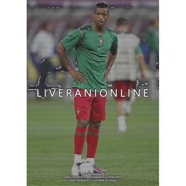 LWOW STADION OLIMPIJSKI 09.06.2012 EURO 2012 PILKA NOZNA GRUPA B NIEMCY - PORTUGALIA NZ NANI POR FOT MICHAL NOWAK / NEWSPIX.PL LVIV OLYMPIC STADIUM 09.06.2012 EURO 2012 GROUP B GERMANY - PORTUGAL NANI POR MICHAL NOWAK / NEWSPIX.PL --- Newspix.pl /AG ALDO LIVERANI SAS - ITALY ONLY *** Local Caption *** .