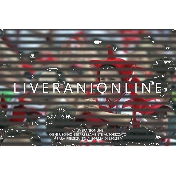 WARSZAWA 07.06.2012 STREFA KIBICA EURO 2012 NAJWIEKSZA STREFA KIBICA PODCZAS EURO 2012 MECZ POLSKA GRECJA THE BIGERST FAN ZONE IN EURO 2012 N Z. KIBICE FANI FANS FLAGI BARWY NARODOWE ZABAWA FOT.ALEKSANDER MAJDANSKI / NEWSPIX.PL --- Newspix.pl AG ALDO LIVERANI S A S ONLY ITALY *** Local Caption *** www.newspix.pl mail us: info@newspix.pl call us: 0048 022 23 22 222 --- Polish Picture Agency by Ringier Axel Springer Poland