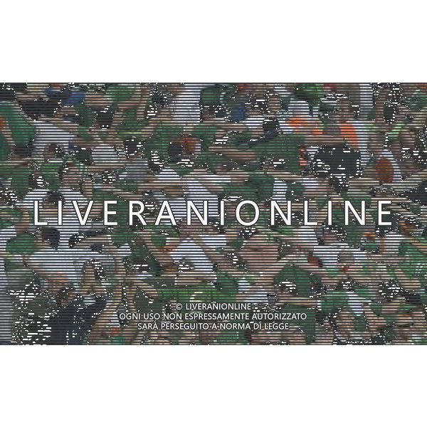 (120611) -- POZNAN, June 11, 2012 () -- Fans of Ireland celebrate after scoring during the Group C match against Croatia at the Euro 2012 football championships in Poznan, Poland, June 10, 2012. (/Wu Wei) (jyc) AG ALDO LIVERANI S A S ONLY ITALY