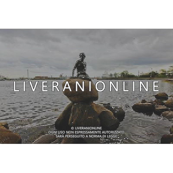 (120614) -- COPENHAGEN, June 14, 2012 () -- Photo taken on June 11, 2012 show the world famous Little Mermaid in Copenhagen, capital of Denmark. (/Zhou Lei) AG ALDO LIVERANI S A S ONLY ITALY