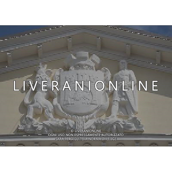 (120614) -- LVIV, June 14, 2012 () -- Photo taken on June 13, 2012 shows the Lviv city badge in Lviv, Ukraine, which is the host city for matches of Euro 2012 football championships Group B. (/Li Jundong) (bxf) ©photoshot/AGENZIA ALDO LIVERANI SAS - ITALY ONLY - Lviv, in Ucraina, citta\' ospitante delle partite dei campionati di calcio Euro 2012 Group B, 14 giugno 2012