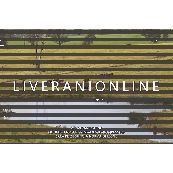 (120613) -- SYDNEY, June 13, 2012 () -- Photo taken on June 12, 2012 shows a pond in a farm in Dummett Jessops in eastern Australia. Millions of small ponds were built across Australia for irrigation and feeding livestock. (/Jin Linpeng) (zw) /PHOTOSHOT/AG ALDO LIVERANI SAS - ITALY ONLY - *** Local Caption *** .