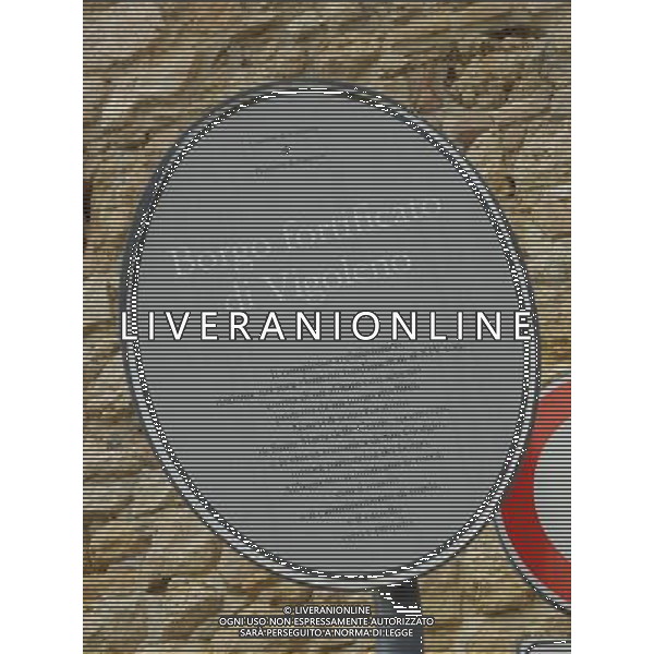 Il castello di Vigoleno  un imponente complesso fortificato della provincia di Piacenza sul confine con quella di Parma, nel comune di Vernasca AG ALDO LIVERANI *** Local Caption *** Il castello di Vigoleno  un imponente complesso fortificato della provincia di Piacenza sul confine con quella di Parma, nel comune di Vernasca