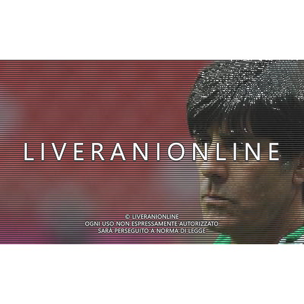 Campionati Europei UEFA 2012 Polonia/Ucraina Semifinale Varsavia (Polonia) - 27.06.2012 Allenamento Germania Nella Foto:loew /Ph.Vitez-Ag. Aldo Liverani