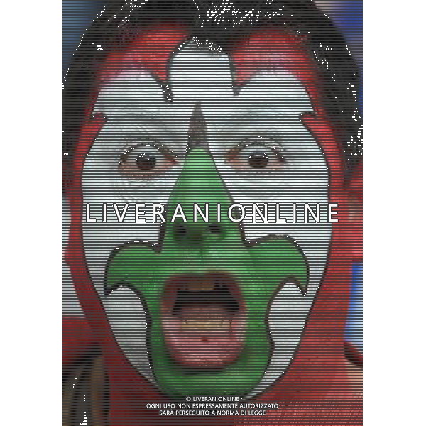 Campionati Europei UEFA 2012 Polonia/Ucraina Semifinale Varsavia (Polonia) - 28.06.2012 Germania-Italia Nella Foto:tifosi italia /Ph.Vitez-Ag. Aldo Liverani