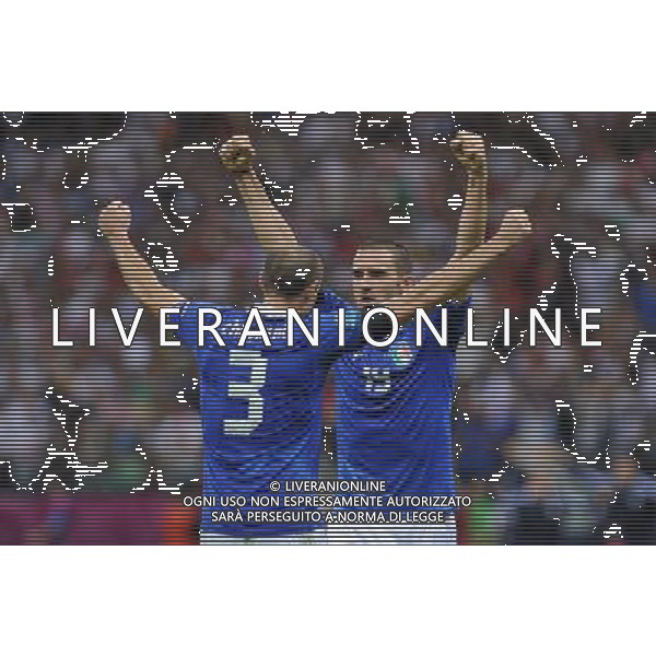 28.06.2012 WARSZAWA (WARSAW) STADION NARODOWY (THE NATIONAL STADIUM) PILKA NOZNA (SOCCER) MISTRZOSTWA EURO 2012 POLSKA UKRAINA (UEFA EURO 2012 POLAND UKRAINE) POLFINAL (SEMIFINAL) MECZ NIEMCY - WLOCHY (GERMANY - ITALY DEUTSCHLAND - ITALY) N/Z GIORGIO CHIELLINI LEONARDO BONUCCI RADOSC UNIESIONE RECE FOT RAFAL OLEKSIEWICZ / PRESSFOCUS NEWSPIXPL --- Newspix.pl EUROPEI 2012 GERMANIA ITALIA AG ALDO LIVERANI SAS - ITALY ONLY - *** Local Caption *** www.newspix.pl mail us: info@newspix.pl call us: 0048 022 23 22 222 --- Polish Picture Agency by Ringier Axel Springer Poland