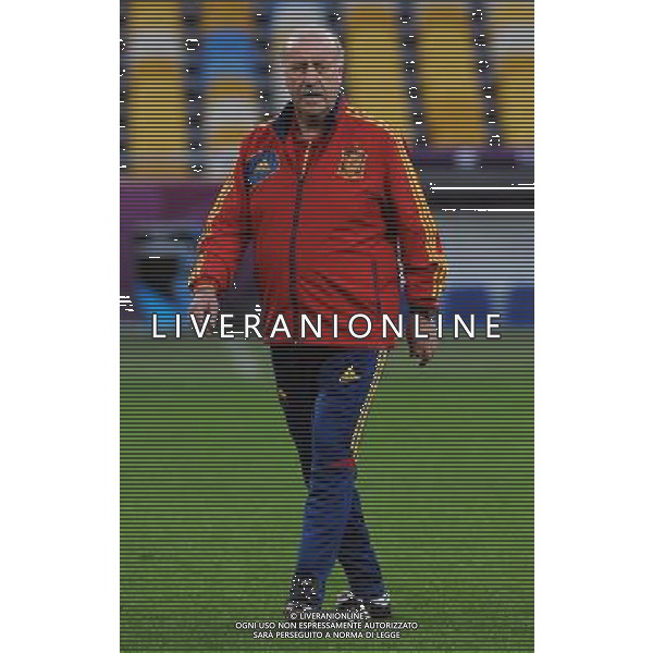 Campionati Europei UEFA 2012 Polonia/Ucraina Finale Kiev (Ucraina) - 30.06.2012 Allenamento Spagna Nella Foto:del bosque /Ph.Vitez-Ag. Aldo Liverani