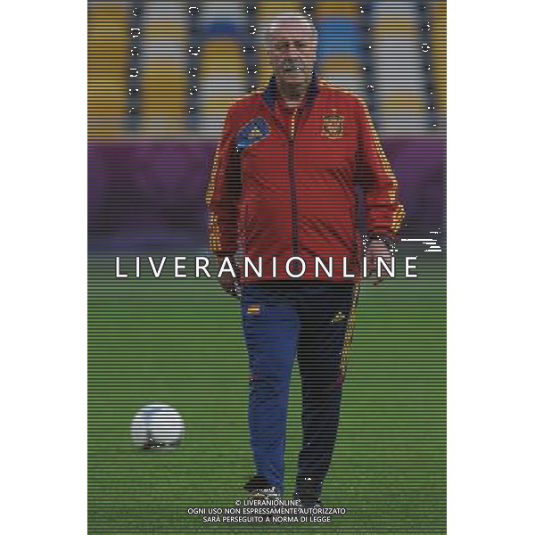 Campionati Europei UEFA 2012 Polonia/Ucraina Finale Kiev (Ucraina) - 30.06.2012 Allenamento Spagna Nella Foto:del bosque /Ph.Vitez-Ag. Aldo Liverani