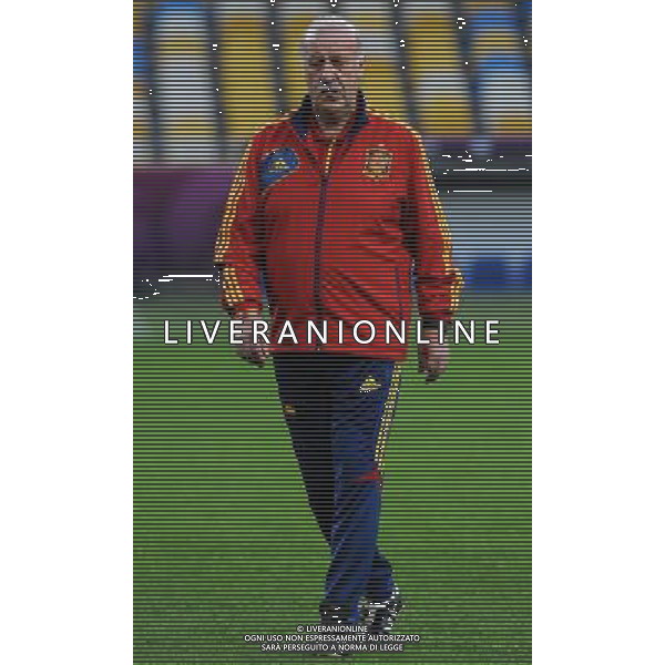 Campionati Europei UEFA 2012 Polonia/Ucraina Finale Kiev (Ucraina) - 30.06.2012 Allenamento Spagna Nella Foto:del bosque /Ph.Vitez-Ag. Aldo Liverani