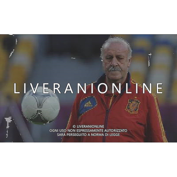 Campionati Europei UEFA 2012 Polonia/Ucraina Finale Kiev (Ucraina) - 30.06.2012 Allenamento Spagna Nella Foto:del bosque /Ph.Vitez-Ag. Aldo Liverani