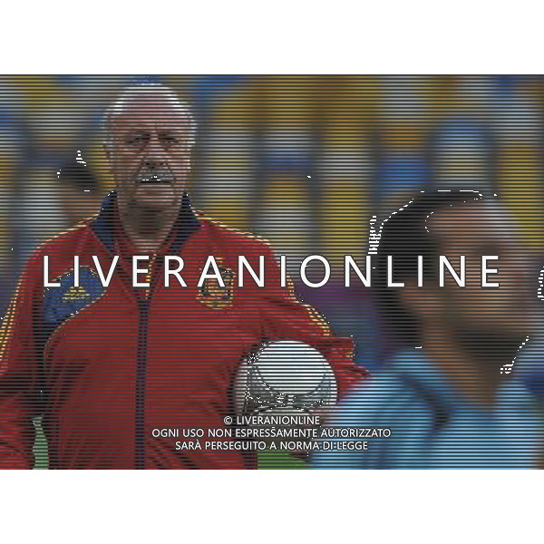 Campionati Europei UEFA 2012 Polonia/Ucraina Finale Kiev (Ucraina) - 30.06.2012 Allenamento Spagna Nella Foto:del bosque /Ph.Vitez-Ag. Aldo Liverani