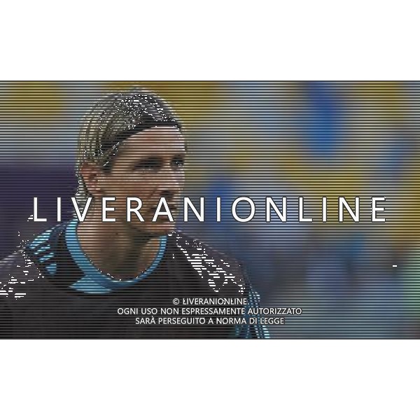 Campionati Europei UEFA 2012 Polonia/Ucraina Finale Kiev (Ucraina) - 30.06.2012 Allenamento Spagna Nella Foto:torres /Ph.Vitez-Ag. Aldo Liverani