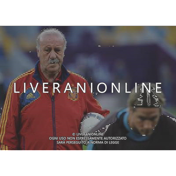 Campionati Europei UEFA 2012 Polonia/Ucraina Finale Kiev (Ucraina) - 30.06.2012 Allenamento Spagna Nella Foto:del bosque /Ph.Vitez-Ag. Aldo Liverani