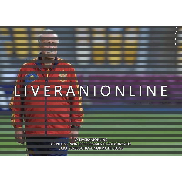 Campionati Europei UEFA 2012 Polonia/Ucraina Finale Kiev (Ucraina) - 30.06.2012 Allenamento Spagna Nella Foto:del bosque /Ph.Vitez-Ag. Aldo Liverani