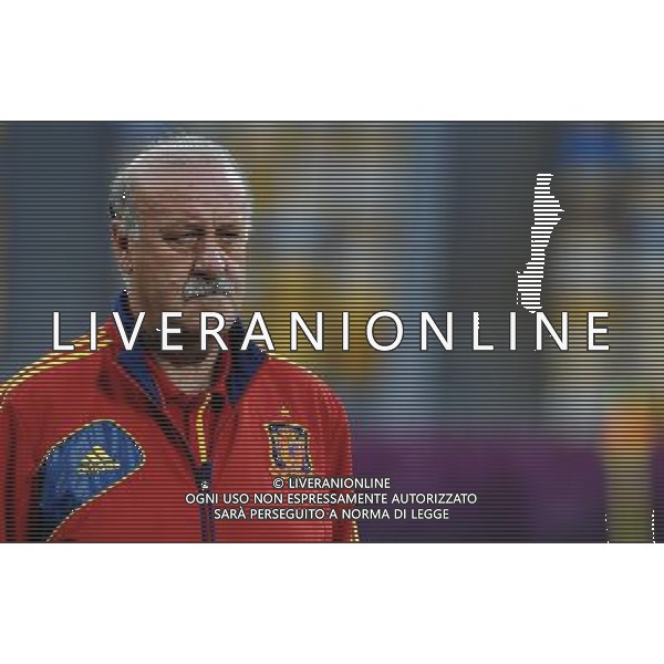 Campionati Europei UEFA 2012 Polonia/Ucraina Finale Kiev (Ucraina) - 30.06.2012 Allenamento Spagna Nella Foto:del bosque /Ph.Vitez-Ag. Aldo Liverani