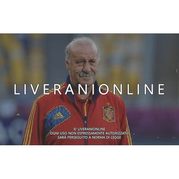 Campionati Europei UEFA 2012 Polonia/Ucraina Finale Kiev (Ucraina) - 30.06.2012 Allenamento Spagna Nella Foto:del bosque /Ph.Vitez-Ag. Aldo Liverani