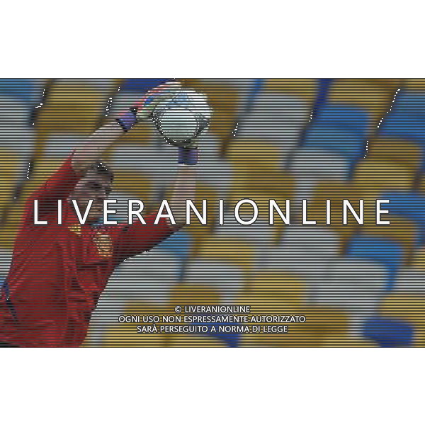 Campionati Europei UEFA 2012 Polonia/Ucraina Finale Kiev (Ucraina) - 30.06.2012 Allenamento Spagna Nella Foto:casillas /Ph.Vitez-Ag. Aldo Liverani