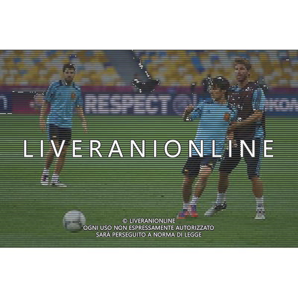 30.06.2012, KIJOW, PILKA NOZNA, FOOTBALL, MISTRZOSTWA EUROPY W PILCE NOZNEJ, EURO 2012, FOOTBALL EUROPEAN CHAMPIONSHIP, TRENING REPREZENTACJI HISZPANII, SERGIO RAMOS (ESP), DAVID SILVA (ESP), FOT. TOMASZ JASTRZEBOWSKI / FOTO OLIMPIK/NEWSPIX.PL --- Newspix.pl SPAIN NATIONAL TEAM TRAINIG IN KIEV AG ALDO LIVERANI S A S ONLY ITALY *** Local Caption *** www.newspix.pl mail us: info@newspix.pl call us: 0048 022 23 22 222 --- Polish Picture Agency by Ringier Axel Springer Poland