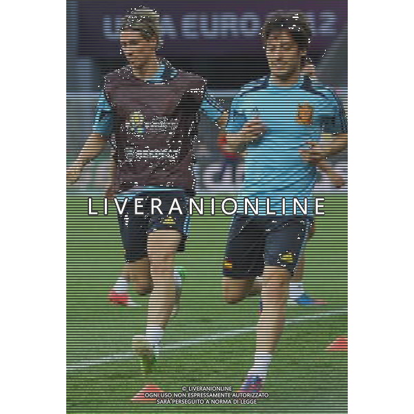 30.06.2012, KIJOW, PILKA NOZNA, FOOTBALL, MISTRZOSTWA EUROPY W PILCE NOZNEJ, EURO 2012, FOOTBALL EUROPEAN CHAMPIONSHIP, TRENING REPREZENTACJI HISZPANII, FERNANDO TORRES, DAVID SILVA (ESP), FOT. TOMASZ JASTRZEBOWSKI / FOTO OLIMPIK/NEWSPIX.PL --- Newspix.pl SPAIN NATIONAL TEAM TRAINIG IN KIEV AG ALDO LIVERANI S A S ONLY ITALY *** Local Caption *** www.newspix.pl mail us: info@newspix.pl call us: 0048 022 23 22 222 --- Polish Picture Agency by Ringier Axel Springer Poland