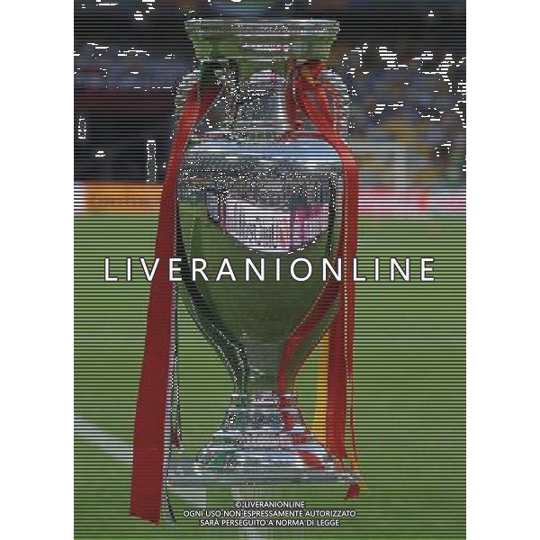 Campionati Europei UEFA 2012 Polonia/Ucraina Finale Kiev (Ucraina) - 01.07.2012 Spagna-Italia Nella Foto:coppa /Ph.Vitez-Ag. Aldo Liverani