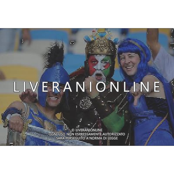 Campionati Europei UEFA 2012 Polonia/Ucraina Finale Kiev (Ucraina) - 01.07.2012 Spagna-Italia Nella Foto:tifosi italia /Ph.Vitez-Ag. Aldo Liverani