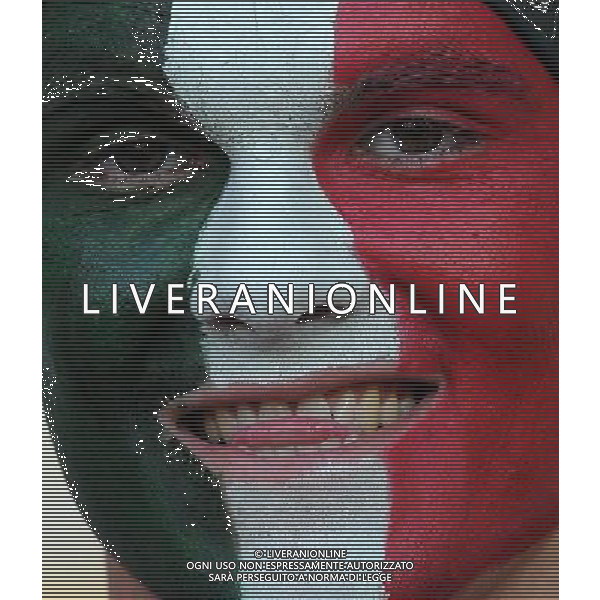 Campionati Europei UEFA 2012 Polonia/Ucraina Finale Kiev (Ucraina) - 01.07.2012 Spagna-Italia Nella Foto:tifosi italia /Ph.Vitez-Ag. Aldo Liverani