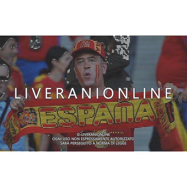 Campionati Europei UEFA 2012 Polonia/Ucraina Finale Kiev (Ucraina) - 01.07.2012 Spagna-Italia Nella Foto:tifosi spagna /Ph.Vitez-Ag. Aldo Liverani