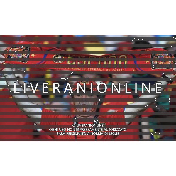 Campionati Europei UEFA 2012 Polonia/Ucraina Finale Kiev (Ucraina) - 01.07.2012 Spagna-Italia Nella Foto:tifosi spagna /Ph.Vitez-Ag. Aldo Liverani