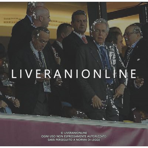 Campionati Europei UEFA 2012 Polonia/Ucraina Finale Kiev (Ucraina) - 01.07.2012 Spagna-Italia Nella Foto:monti abete /Ph.Vitez-Ag. Aldo Liverani