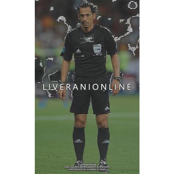 Campionati Europei UEFA 2012 Polonia/Ucraina Finale Kiev (Ucraina) - 01.07.2012 Spagna-Italia Nella Foto:proenca /Ph.Vitez-Ag. Aldo Liverani