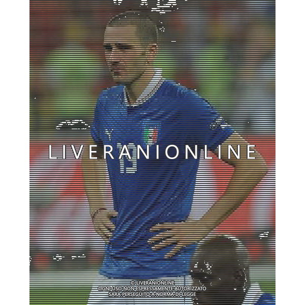 Campionati Europei UEFA 2012 Polonia/Ucraina Finale Kiev (Ucraina) - 01.07.2012 Spagna-Italia Nella Foto:lacrime bonucci /Ph.Vitez-Ag. Aldo Liverani