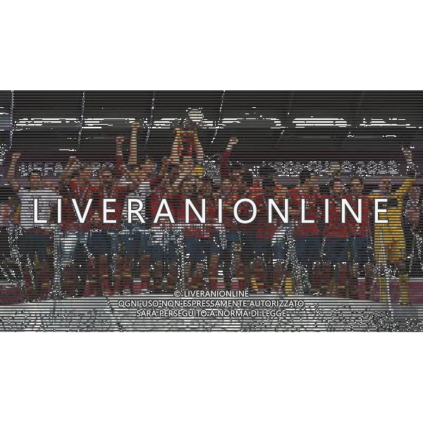 Campionati Europei UEFA 2012 Polonia/Ucraina Finale Kiev (Ucraina) - 01.07.2012 Spagna-Italia Nella Foto:casillas alza la coppa /Ph.Vitez-Ag. Aldo Liverani