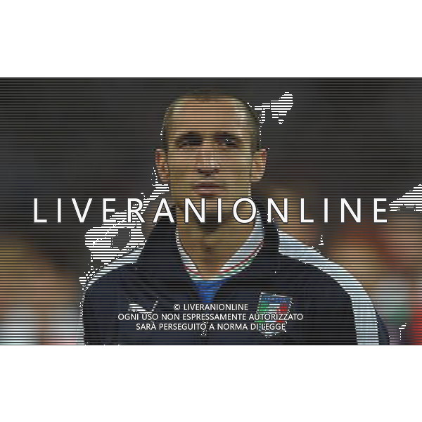 Campionati Europei UEFA 2012 Polonia/Ucraina Finale Kiev (Ucraina) - 01.07.2012 Spagna-Italia Nella Foto:Chiellini Giorgio /Ph.Vitez-Ag. Aldo Liverani